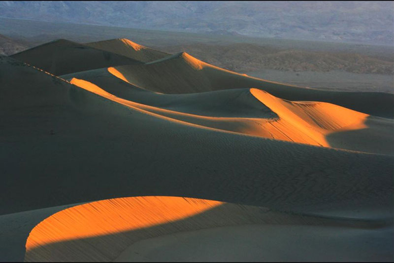 Desert Photography